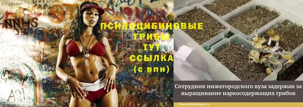 соль ск Волосово