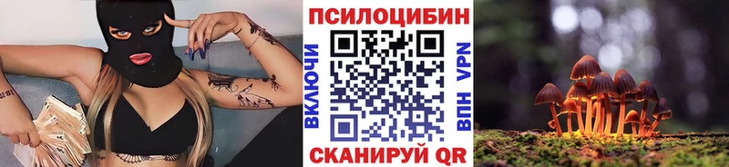 Галлюциногенные грибы Magic Shrooms  блэк спрут онион  Подпорожье  где купить наркотик 